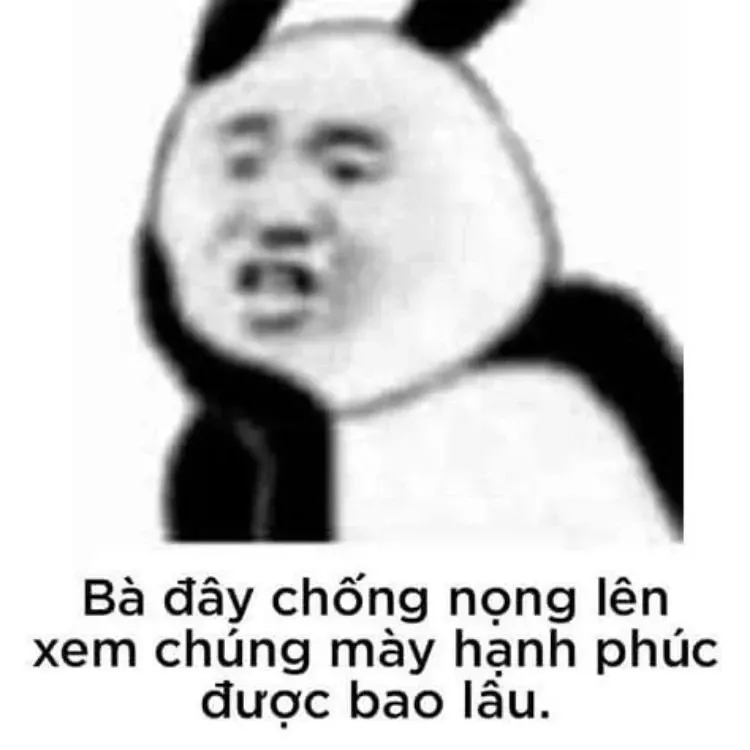 panda meme 27