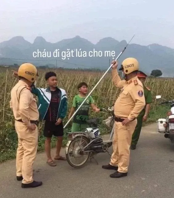 phóng lợn meme 10