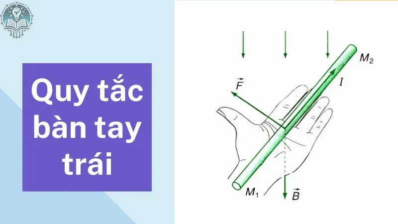 quy tắc bàn tay trái 1