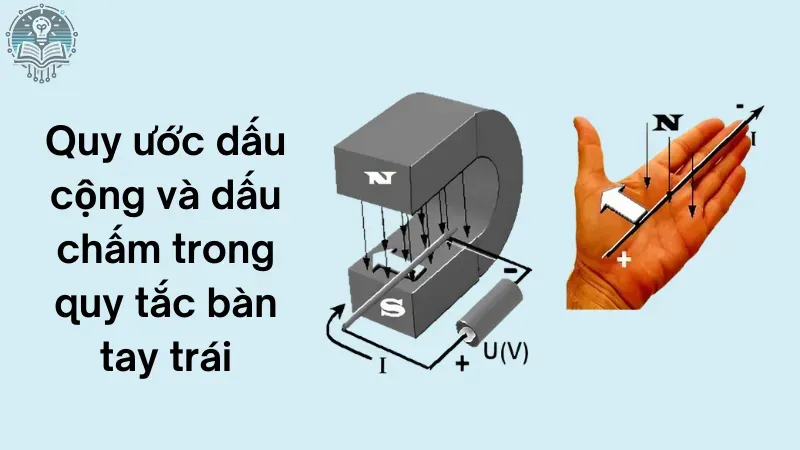 quy tắc bàn tay trái 3