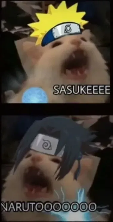 sasuke meme 14