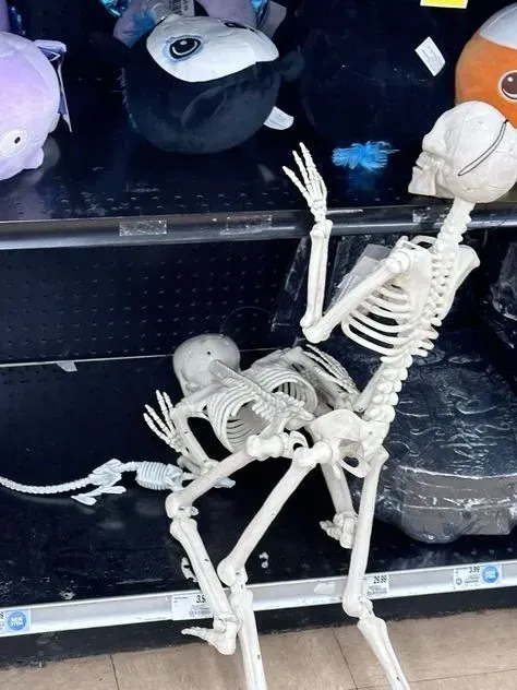 skeleton meme 3