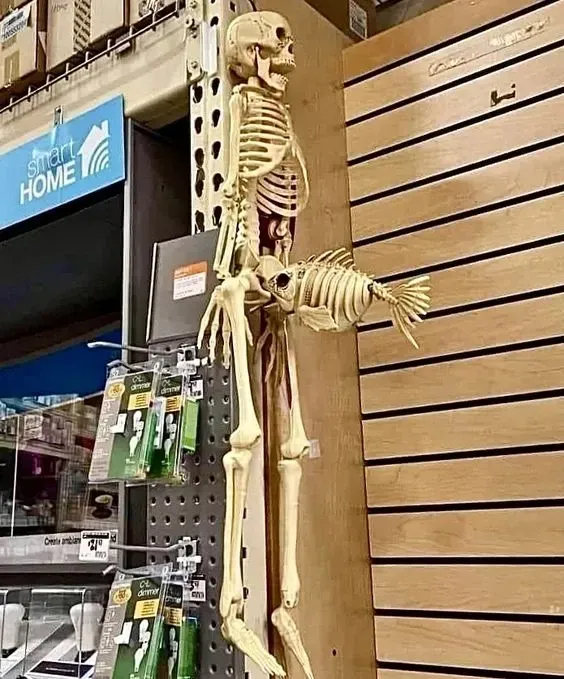 skeleton meme 13