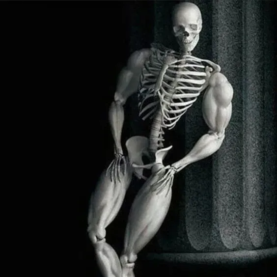 skeleton meme 26