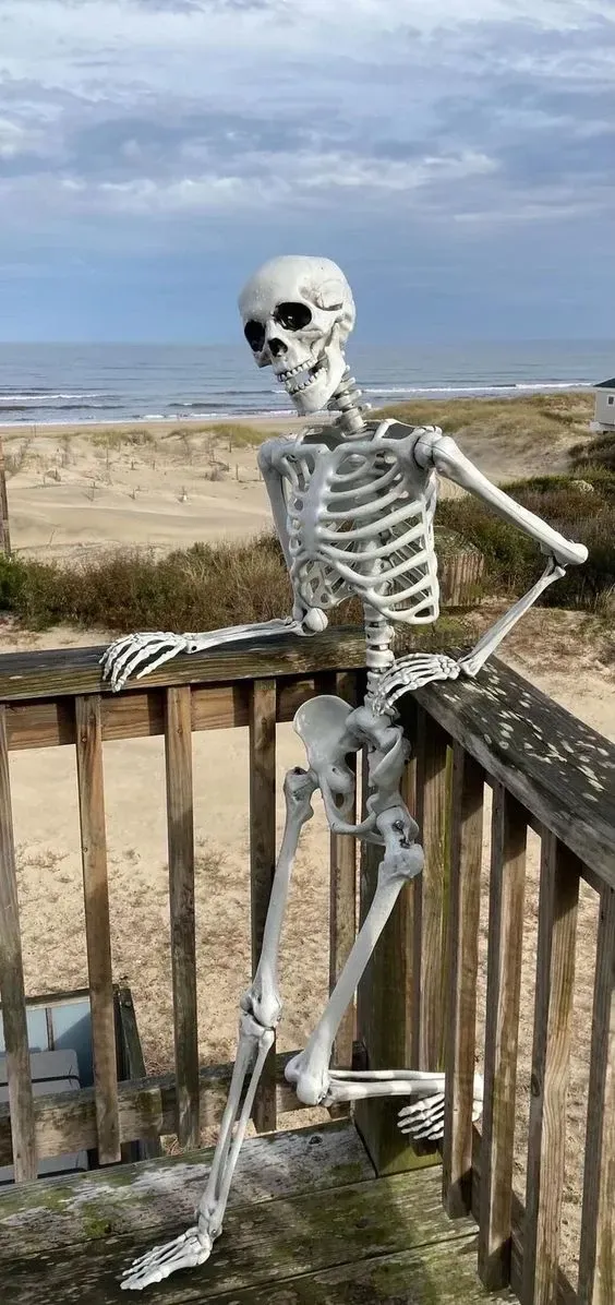 skeleton meme 30