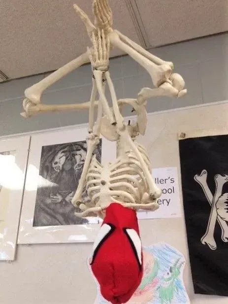 skeleton meme 39