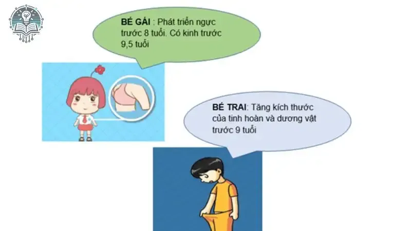 tác hại của dậy thì sớm 4