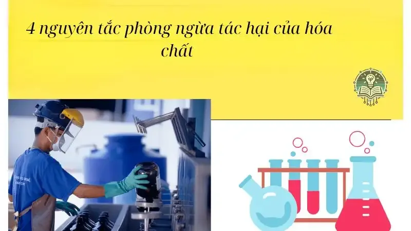 tác hại của hóa chất 3