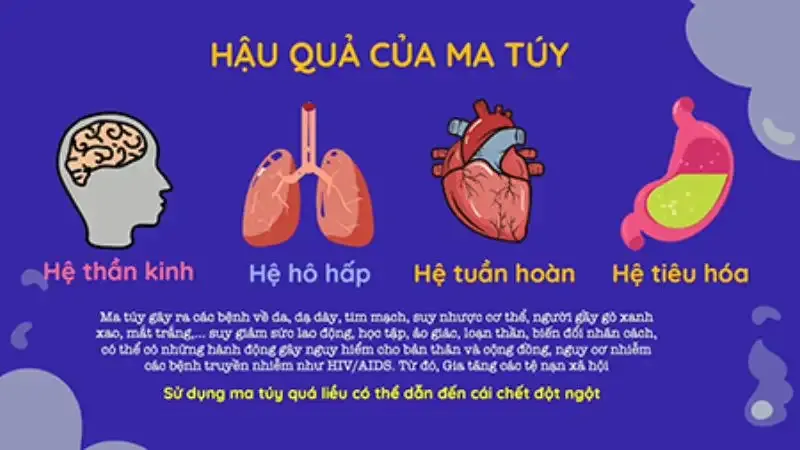  tác hại của ma túy đá 9