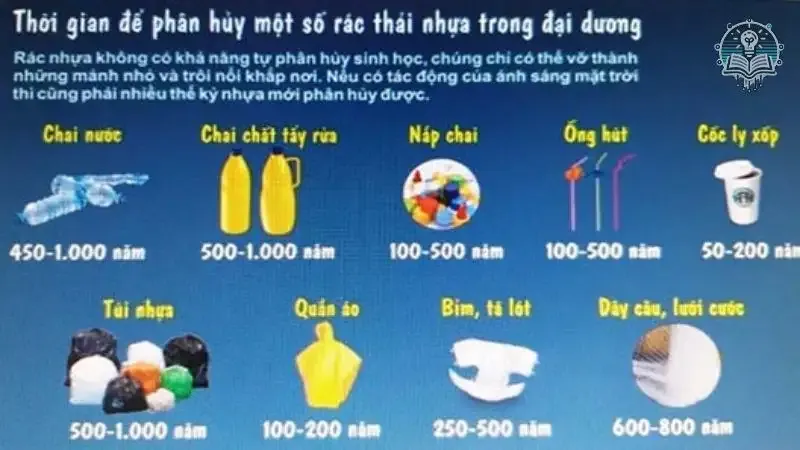 Tác hại của rác thải nhựa  3