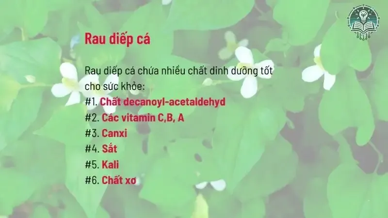 tác hại của rau diếp cá 6