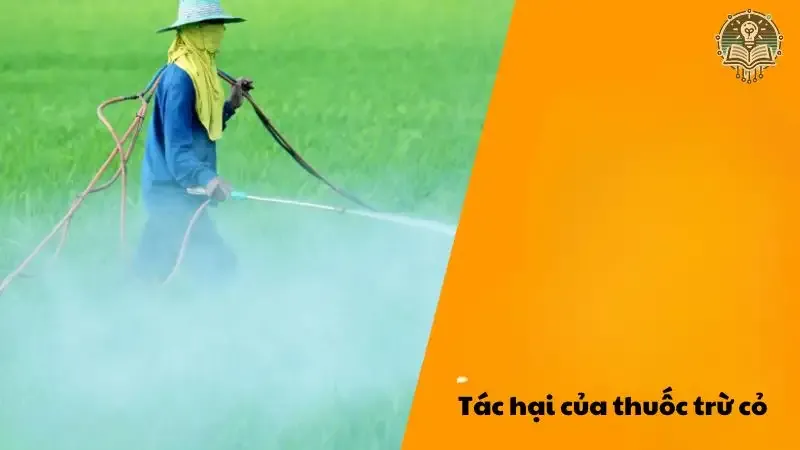 Tác hại của thuốc trừ cỏ 7