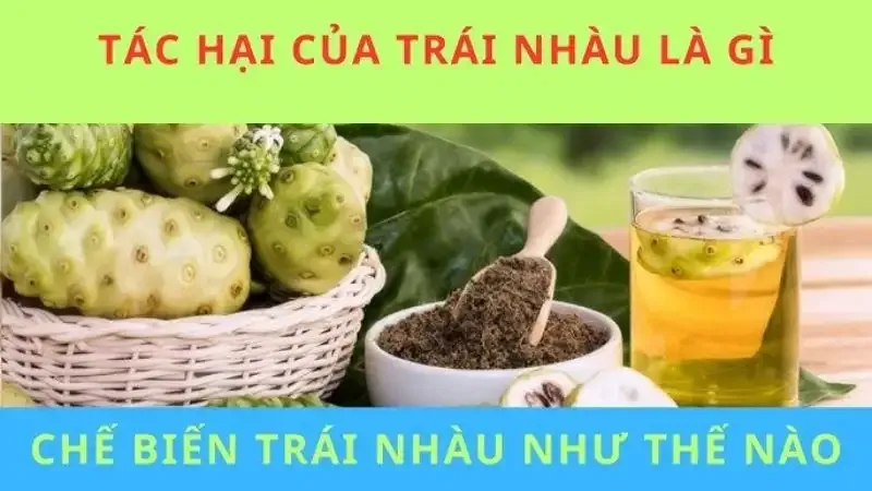 5 tác hại của trái nhàu