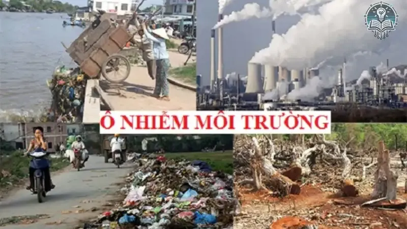  tác hại ô nhiễm môi trường 2