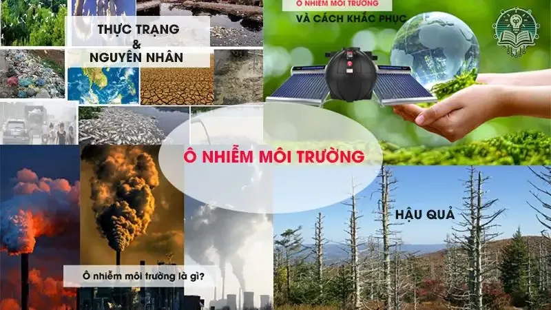  tác hại ô nhiễm môi trường 3