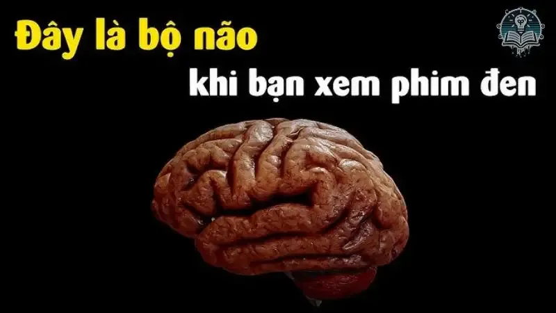  tác hại phim đen 4