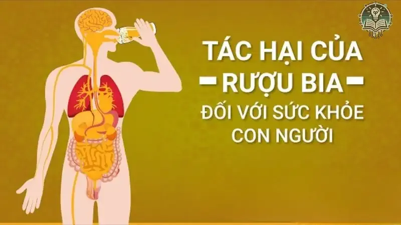  tác hại rượu bia 5