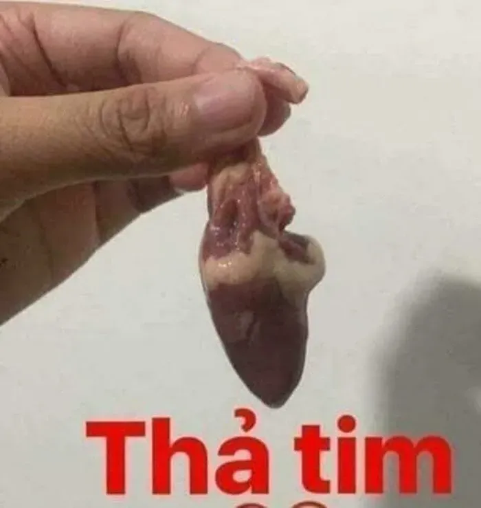 thả tim meme 17