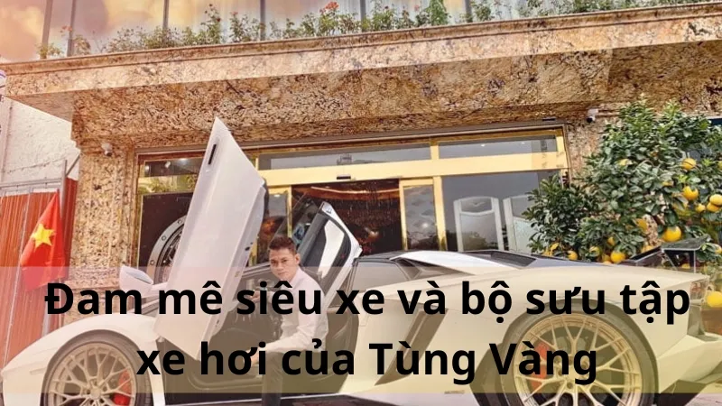 Tùng vàng là ai 04