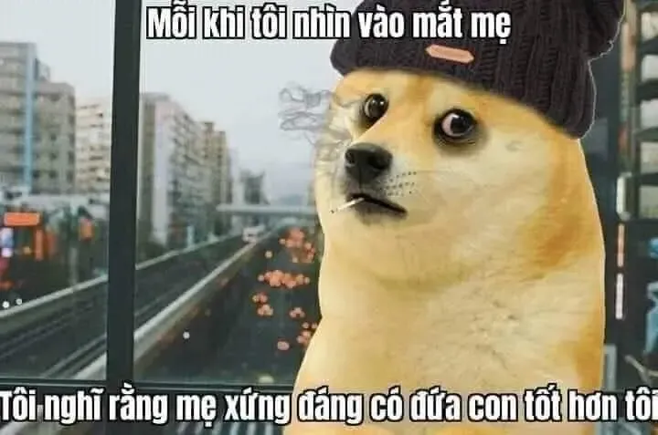 vì bạn xứng đáng meme 6