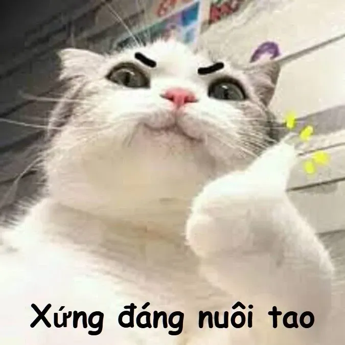 vì bạn xứng đáng meme 15