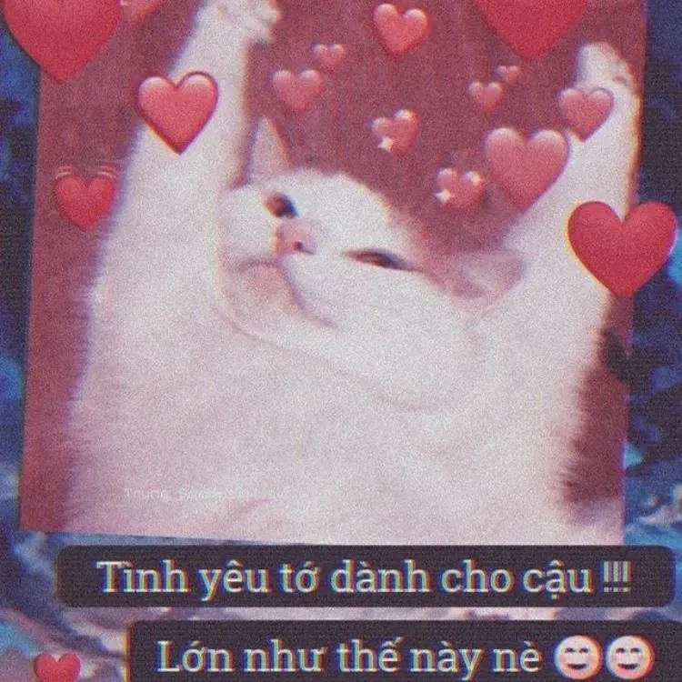 yêu meme 19