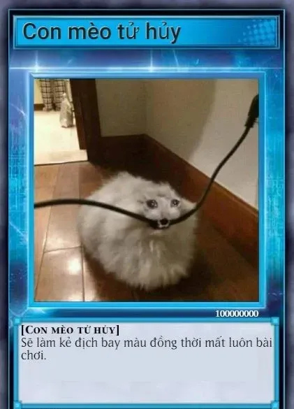 yugioh meme 47