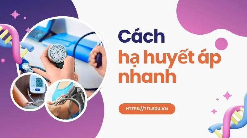 Cách hạ huyết áp nhanh ngay lập tức - Bí quyết dễ thực hiện 1