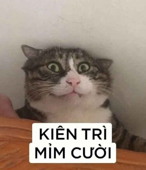 meme mặt cười 26