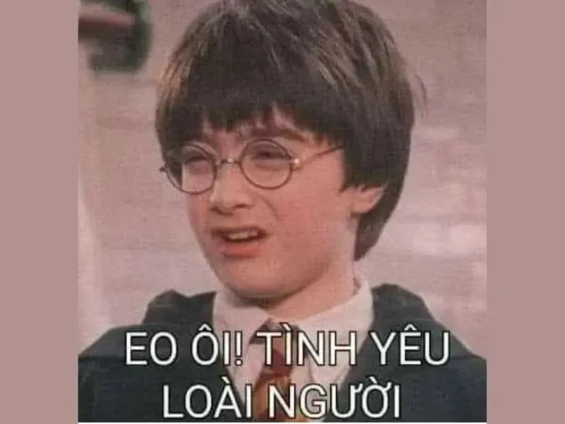 meme nổi tiếng 47