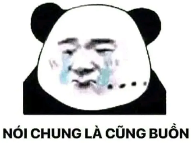 meme nổi tiếng 49