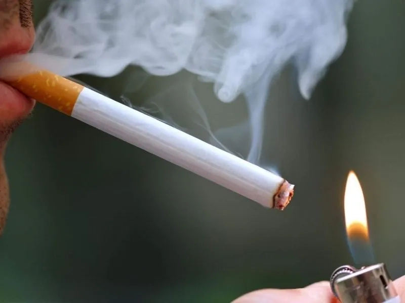 Avatar mèo hút thuốc tạo không gian sống động và cá tính cho bạn