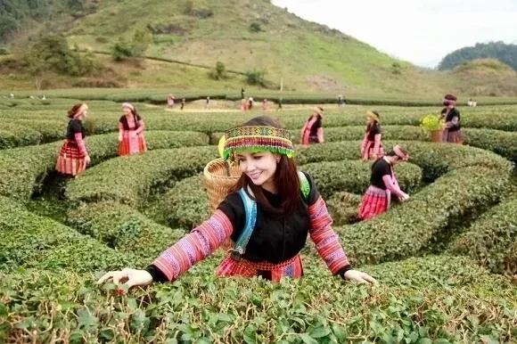 Nét đẹp quý phái và cuốn hút của gái dân tộc Goryeo
