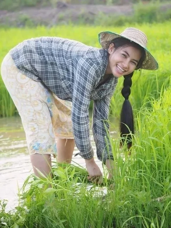 Thiếu nữ miền Tây bên đồng sen với nụ cười dịu dàng