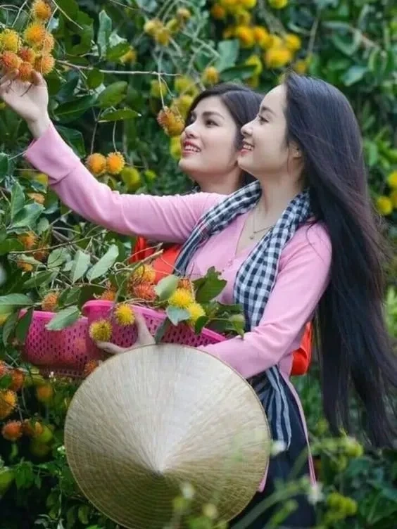 Hình ảnh gái quê bên lũy tre mang lại cảm giác hoài cổ