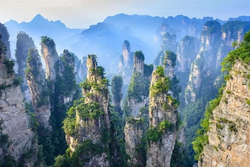 Ảnh nền điện thoại đẹp chill tạo không gian sống động và thư giãn