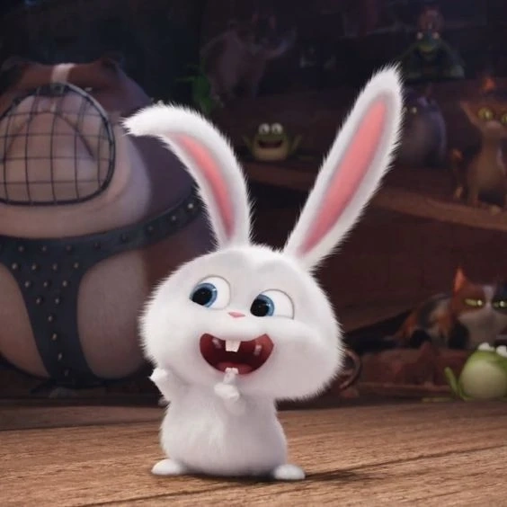 Avatar ngộ nghĩnh ảnh mèo cute tạo sự vui nhộn và đáng yêu