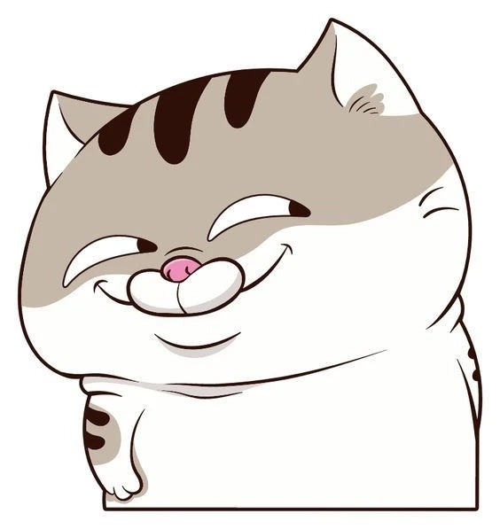 Avatar hình mèo cute mang đến sự nhẹ nhàng và vui nhộn