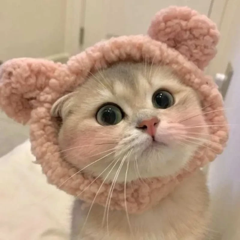 Avatar cute động vật mang lại cảm giác dễ thương và vui vẻ