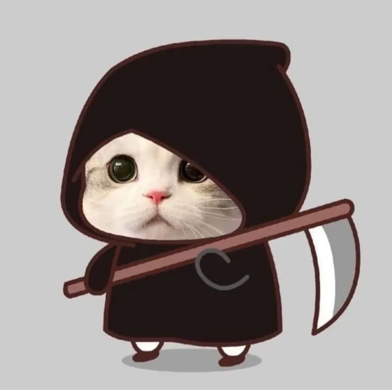 Avatar con mèo ngộ nghĩnh, mang lại cảm giác dễ thương và vui vẻ