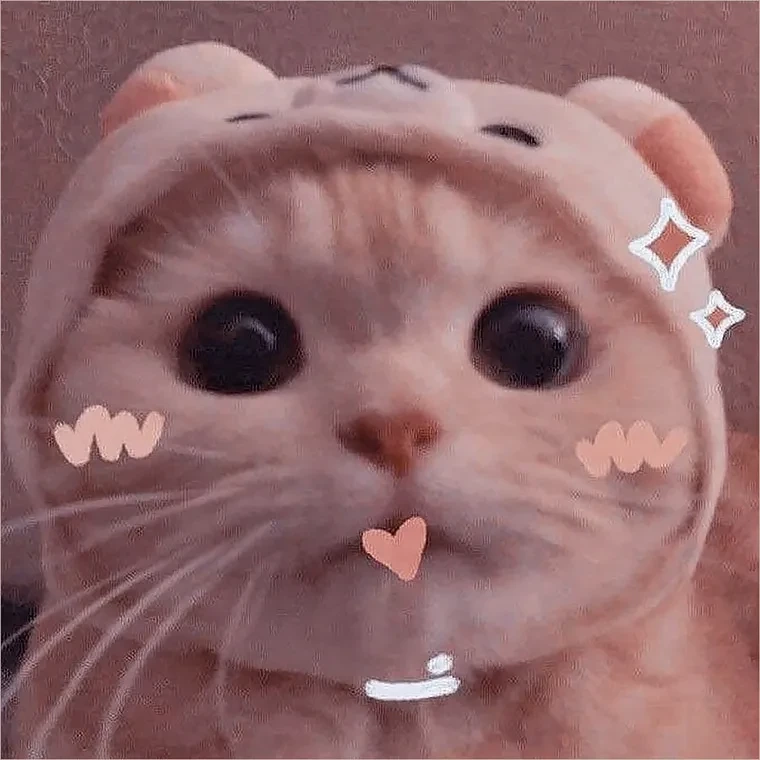 Avatar ảnh mèo cute cực kỳ dễ thương, mang lại sự tươi mới cho trang cá nhân