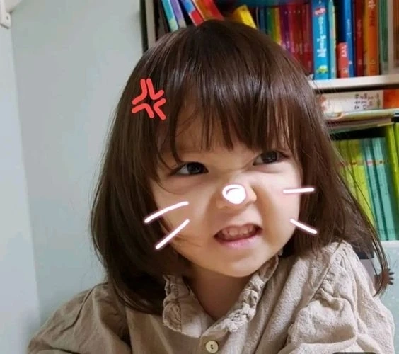 Avatar ảnh gấu trúc cute chibi tạo điểm nhấn đáng yêu và ngộ nghĩnh