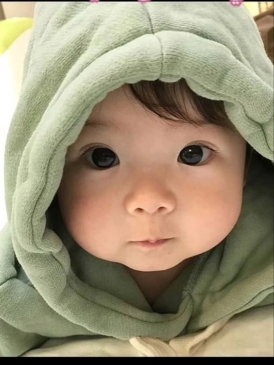 Avatar cute mèo thể hiện sự dễ thương và dễ mến trong từng chi tiết