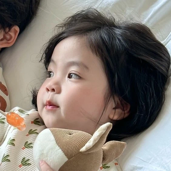 Avatar mèo cute mang đến không gian dễ thương và ngọt ngào