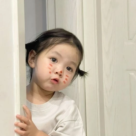Avatar ảnh mèo cute mang đến phong cách sinh động và dễ thương