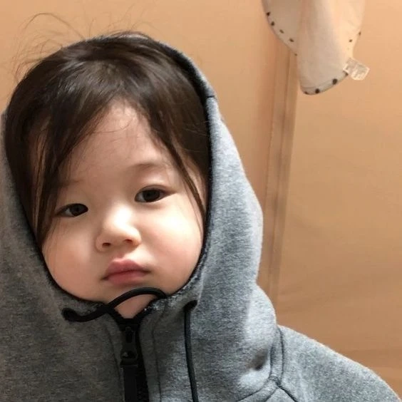 Dễ thương avatar đôi mèo thật tạo không gian sinh động và ngọt ngào