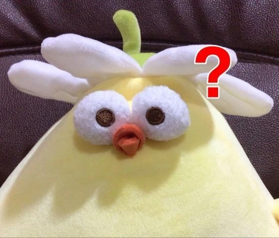 Meme ảnh vịt hài hước tạo không gian vui tươi, làm mới mọi cuộc trò chuyện