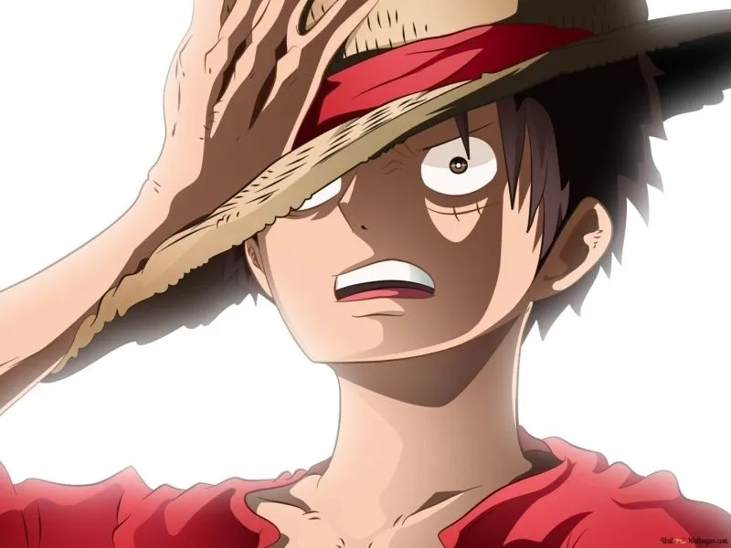Luffy haki bá vương tạo sự bùng nổ mạnh mẽ, lấn át mọi đối thủ