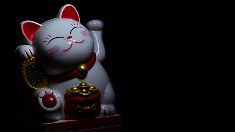 Mèo avatar tạo không gian vui tươi và dễ thương tuyệt vời