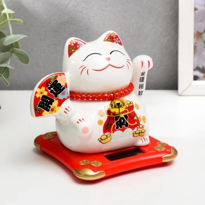 Ava mèo cute mang đến sự vui tươi và đầy năng lượng trong không gian